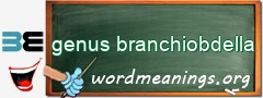 WordMeaning blackboard for genus branchiobdella